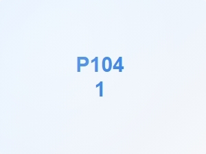 P1041 Diagnostic Code and Related Codes